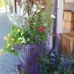 5 Ways to Upcycle Your Old Stuff