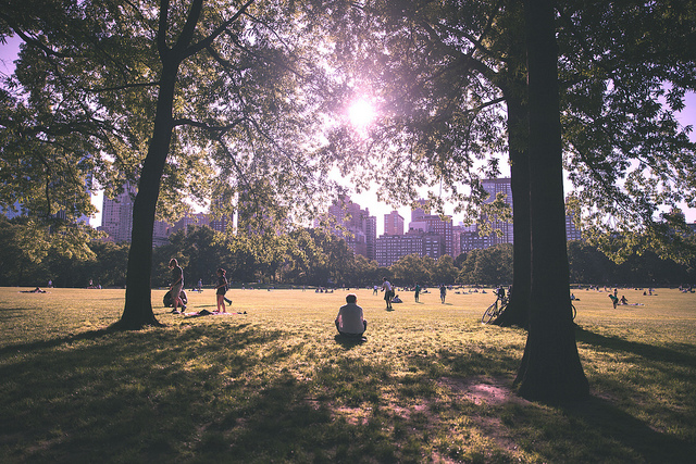 summerinthecity