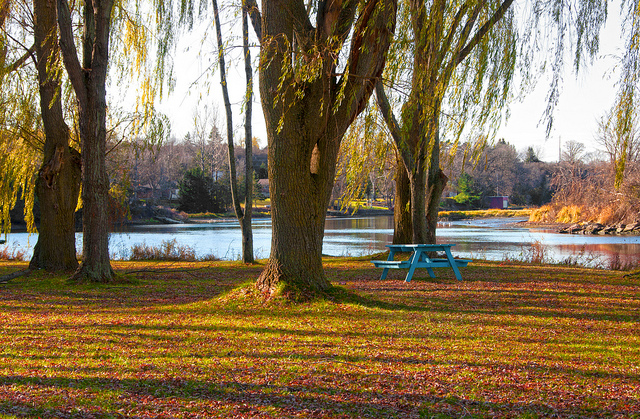 FallPicnic