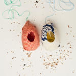 bird-feeder