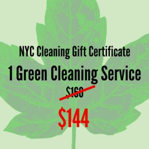 1 Spring Cleaning Service