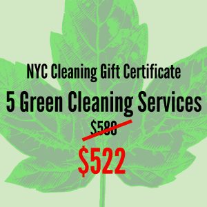 5 Spring Cleaning Service