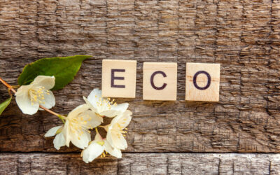 Eco-Friendly Commercial Carpet Cleaning Service Fast and Reliable