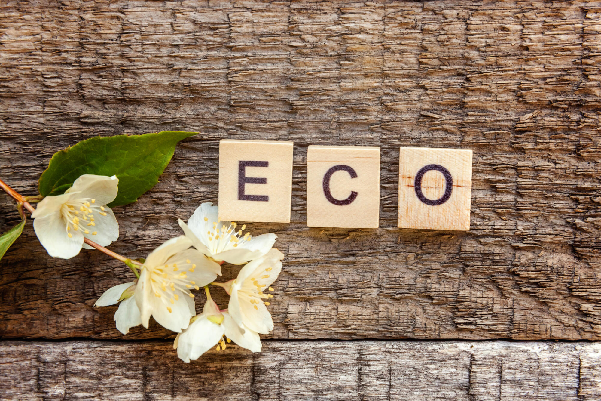 commercial carpet cleaning service