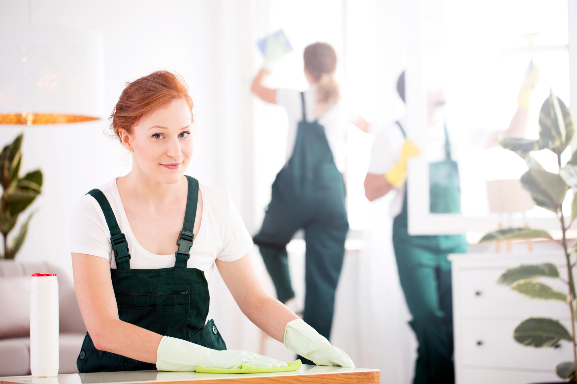 green cleaning company