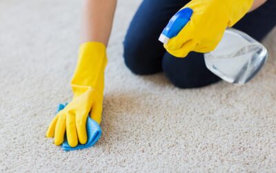 The Flawed Logic That Frequent Vacuuming Eliminates the Need for Deep Professional Extraction